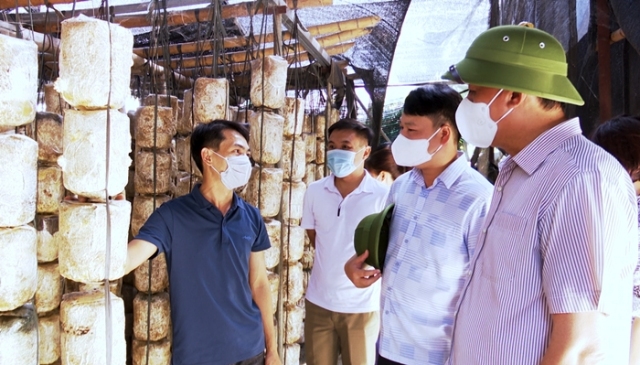 Lãnh đạo thành phố thăm các mô hình phát triển kinh tế nông nghiệp trên địa bàn xã Hưng Đạo và phường Sông Bằng