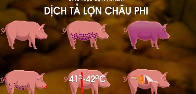 dịch ta lon Chau Phi 120 07 700x336